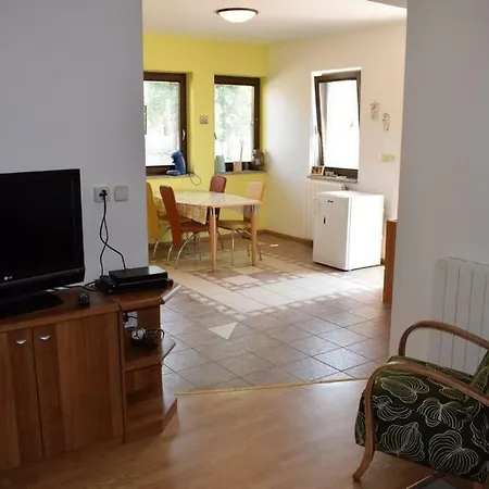 Apartment Igor *